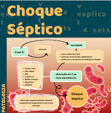 El gobierno se reunirá mañana con la oposición para avanzar en la postergación de las elecciones por la pandemia. Choque Septico Choque Septico Glasgow Orgaos