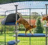 Enclos | Enclos d'extérieur large et spacieux pour chat | Omlet