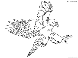 It also includes realistic and cartoon airplanes. Hawk Coloring Pages Animal Printable Sheets Red Tailed Hawk 2021 2619 Coloring4free Coloring4free Com