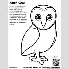 Feel free to print and color from the best 39+ owl coloring pages colored at getcolorings.com. Barn Owl Coloring Page Fun Free Downloads Activity Pages Birdorable