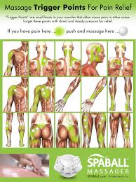 Muscle Trigger Points Chart Www Bedowntowndaytona Com