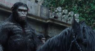 Après une première ultime bande annonce dévoilée au mois de mai dernier, la fox a finalement décidé de nous balancer une nouvelle bande annonce finale de la planète des singes : Video Une Nouvelle Bande Annonce Pour La Planete Des Singes L Affrontement