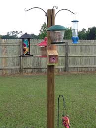My Multiple Bird Feeder Water Station Love It Bird Feeding Station Backyard Birds Feeders Backyard Birds Sanctuary