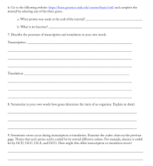 (activity b continued on next page). Solved Name Lab Instructor Exploration Rna Synthesis Chegg Com