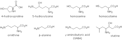 26 1 structures of amino acids chemistry libretexts