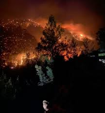 Ekipler yangını söndürmek için seferber oldu. Xjh4jvijv0qi M