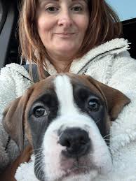 Our Angus came home today