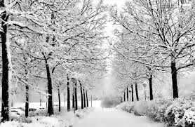 Free desktop wallpapers winter scenes wallpaper 1152×864. Winter Imagery 1024x668 Wallpaper Teahub Io