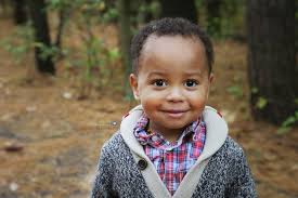 Still Life Photography