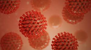 A volt tisztifőorvos szerint pillanatokon belül nálunk is meg fog jelenni az india mutáns. Koronavirus Mutans Vietnamban Nlc Hu