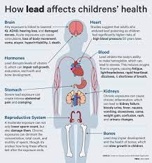 Why Lead Is Most Dangerous To Children