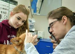 Student Named an A.W. Beattie Career Center Senior of the Year