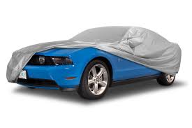 Image result for Silver 1983 Challenger