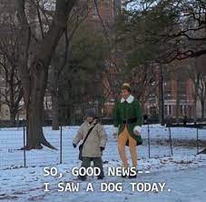I saw a dog today quote. Tumblr