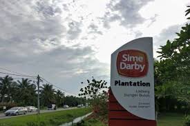Sime darby berhad, an investment holding company, operates in the industrial, motors, logistics, healthcare, and other businesses in malaysia and internationally. No Systemic Issues In Ops Says Sime Darby Plantation The Star