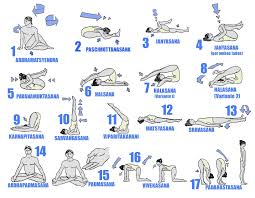 Many types of yoga can also be considered vinyasa you spend more time in fewer postures throughout the class. Yoga Diagram Hatha Yoga Poses Yoga Challenge 30 Day Yoga Challenge