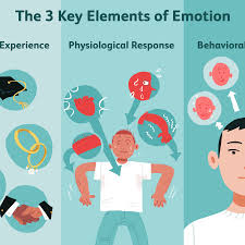 Maybe you would like to learn more about one of these? Emotions And Types Of Emotional Responses