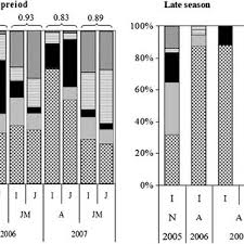 Image result for Chlorophytum burundiense