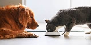 As promised in the gme daily thread: Where To Find The Cheapest Prices On Dog And Cat Food