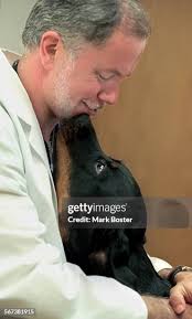 266 =Dvm Stock Photos, High-Res Pictures, and Images