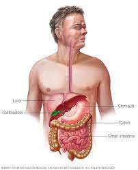 Other symptoms of gerd include those related to the respiratory system: Indigestion Symptoms And Causes Mayo Clinic