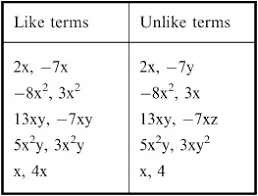 Maybe you would like to learn more about one of these? Combining Like Terms Definition Simplifying Practice Video Lesson Transcript Study Com