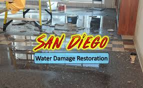 Find the best pest control & exterminators in san diego, ca. The 8 Best Options For Water Damage Restoration In San Diego 2021