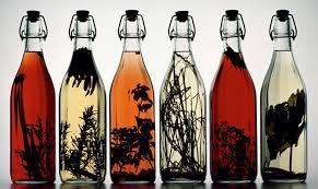 Liquori Fatti In Casa 6 Ricette Per Natale Blog Buoni Sconto Coupon