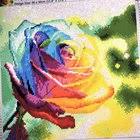 Check spelling or type a new query. Rainbow Rose By Dreamer Designs One Of Their Free Kits You Can Get If You Pay For Shipping Really Impressed Diamondpainting