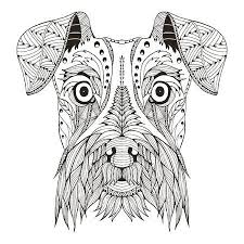 You can print it out and color. 123rf Millionen Von Kreativen Fotos Illustrationen Videos Und Audiodateien Fur Ihre Inspiration Und Projek Schnauzer Art Dog Coloring Page Outline Drawings