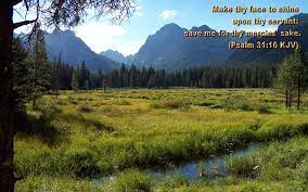 If you're looking for the best jesus wallpapers with bible verses then wallpapertag is the place to be. Bible Quotes Wallpaper Quotesgram