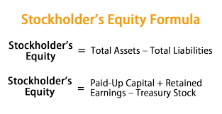 The resulting figures will reflect each of the owner's equity in the business. Stockholder S Equity Formula Calculator Excel Template