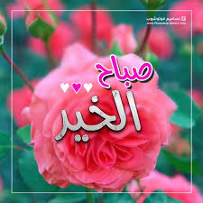 صباح الخير تويتر يوم الاحد ٢٠٢٠ احلى صباح الخير بالصور للاهل والاصدقاء والاحباب 2020 Necklace Lei Necklace Jewelry