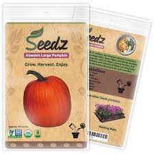 When To Plant Pumpkin Seeds Organic Pumpkin Seeds Heirloom Vegetables Organic Seeds
