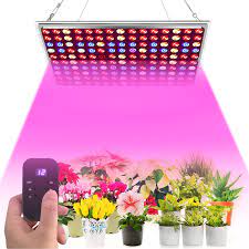 Maybe you would like to learn more about one of these? Shenzhen Factory Supply 2020 Wholesale Grow Equipment Full Spectrum 300w Led Grow Light For Indoor Plant China Led Panel Grow Light Quantumboard With Timer Controller Made In China Com