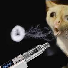 Cat Coughing Meme Vape Vape Memes Vape Funny Memes