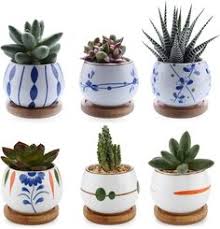 Comprobarás cómo contribuye a estimular en breve las raíces de la planta. 390 Ideas De Herramientas Para Suculentas Y Cactus Accesorios De Jardineria Herramientas De Jardineria Suculentas Jardineria