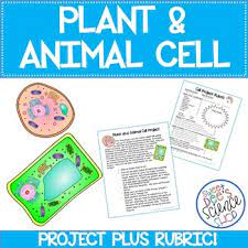 Maybe you would like to learn more about one of these? Plant Or Animal Cell Project Description Plus Rubric Tpt
