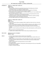 Medical Laboratory Assistant Resume Samples Velvet Jobs