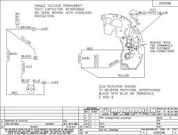 Use wiring diagrams to assist in building or manufacturing the circuit or electronic device. Wiring Diagram Century Electricpany Motors Diagram Base Website Electricpany Motors Photosynthesisdiagram Criaturas It