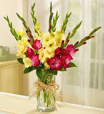 Maybe you would like to learn more about one of these? Holland J Bouquet 1800flowers Com 105109 Flower Delivery Gladiolus Bouquet Mothers Day Flowers