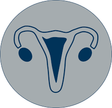 Icon of the uterus and ovaries, representing cervical screening and gynecologic care