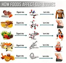 Tambah kuat dan bakar lemak by brodibalo. Makanan Berprotein Tinggi Why Pay More Nutritions Facebook