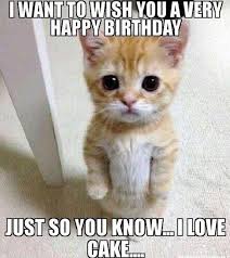 101 Funny Cat Birthday Memes For The Feline Lovers In Your Life Funny Happy Birthday Meme Funny Happy Birthday Wishes Cat Birthday Memes
