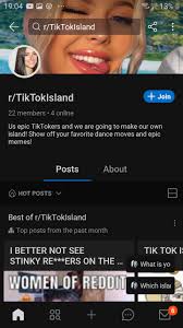 If you are someone looking for mobile application ideas, we have curated a list of 101 best app. Tiktok Stole Our Idea And Basically Just Use The Subreddit To Say That We Should Kill Ourselfs And Just Extremly Attacks Reddit And Do Like They Are Perfect Reddit Island