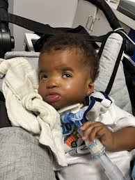 Mr Grey with his little carer 🥰 He is starting to hydrate really well.  Still maybe a fragment of glass in his foot so I will have another look in  the morning. 🐾🐾