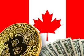 Last week i bought $100 of crypto on 8 different cryptocurrency exchanges available to canadians. Best Bitcoin Exchange In Canada Cryptocolumn