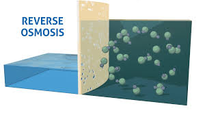 Osmosis in the largest biology dictionary online. History Of Reverse Osmosis When Was Ro Discovered