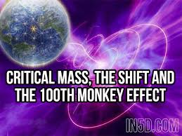Image result for 100th monkey effect
