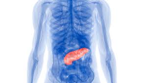 Tumor Marker Ca 19 9 For Assessing Pancreatic Cancer Response Cancer Therapy Advisor